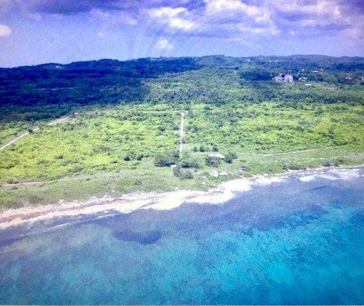 1 NEGRIL, NEGRIL, Land,  for sale, Realty World - David R. Hughes & Associates